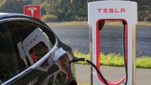 Borne tesla