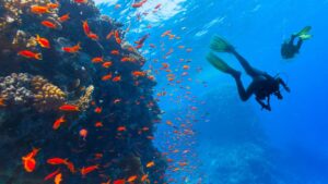plongée sous marine